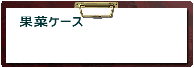 �ʍ؃P�[�X  